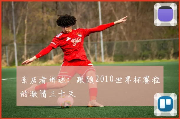 亲历者讲述:跟随2010世界杯赛程的激情三十天