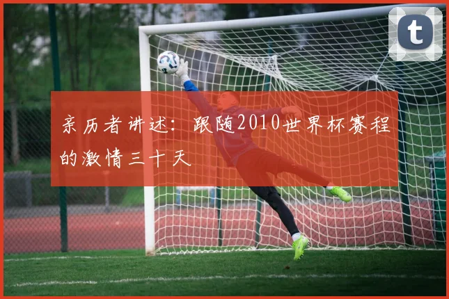 亲历者讲述:跟随2010世界杯赛程的激情三十天