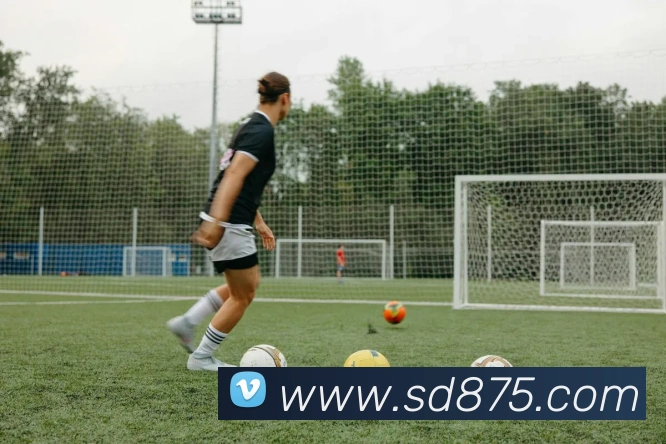 开云手机在线登录官网平台生态图