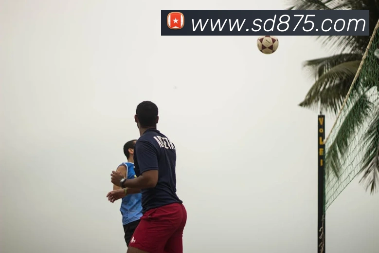 开云手机在线登录官网全站App 开云手机在线登录官网全站App