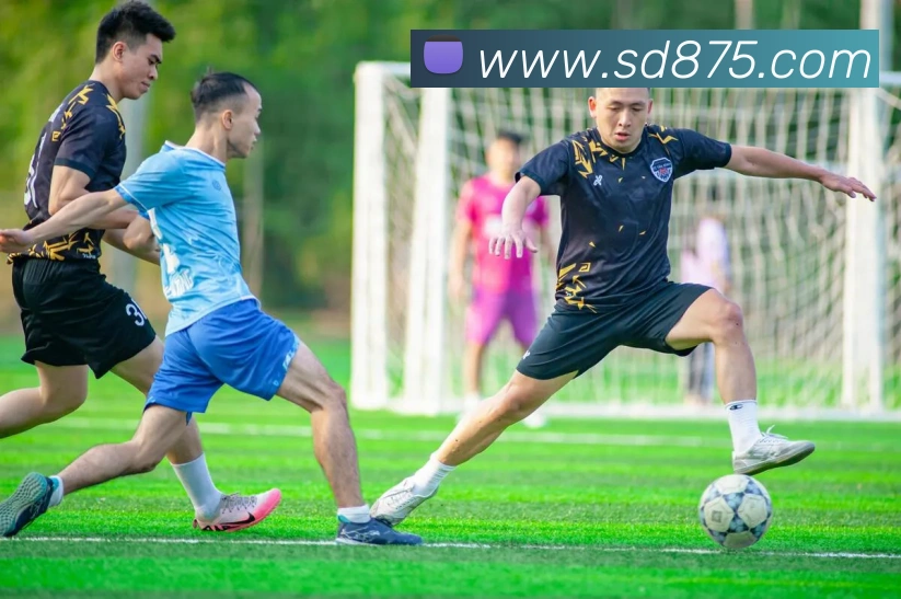 辅助工具 辅助工具